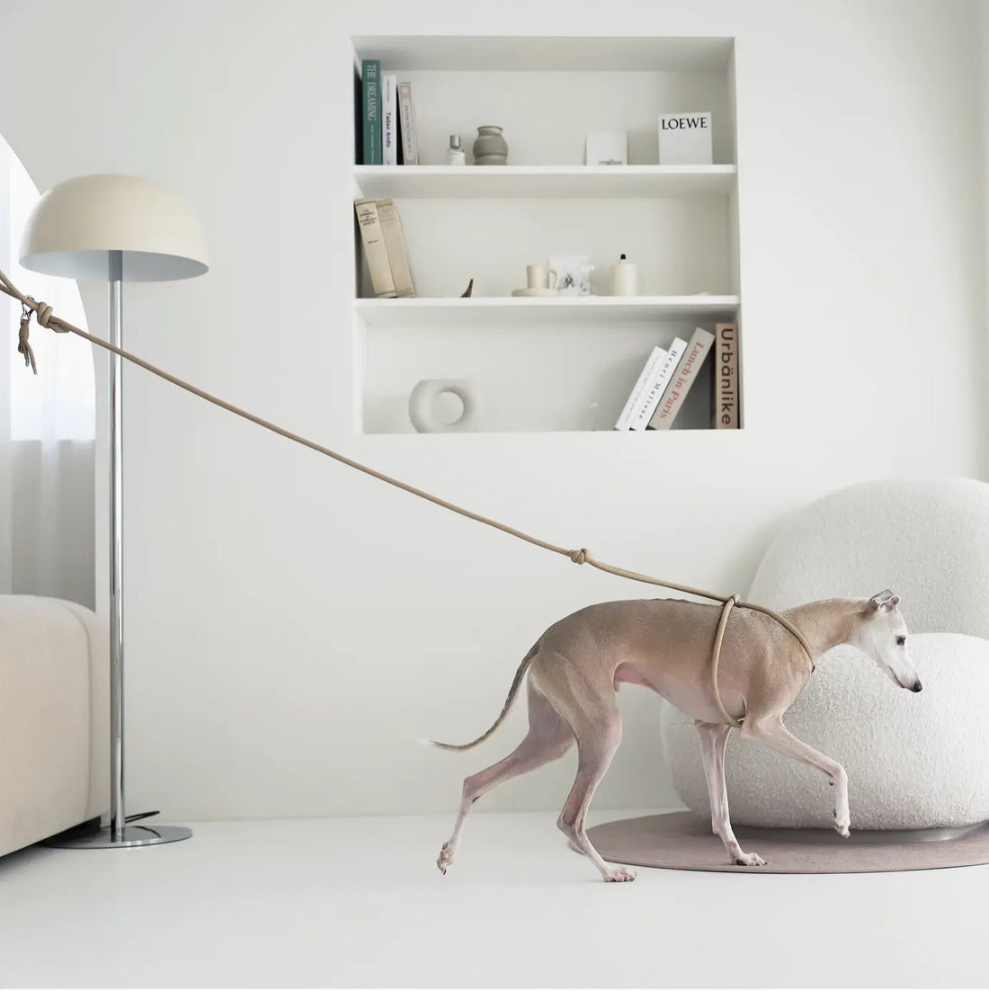 Luxury Leather Dog Harness - Vault No9