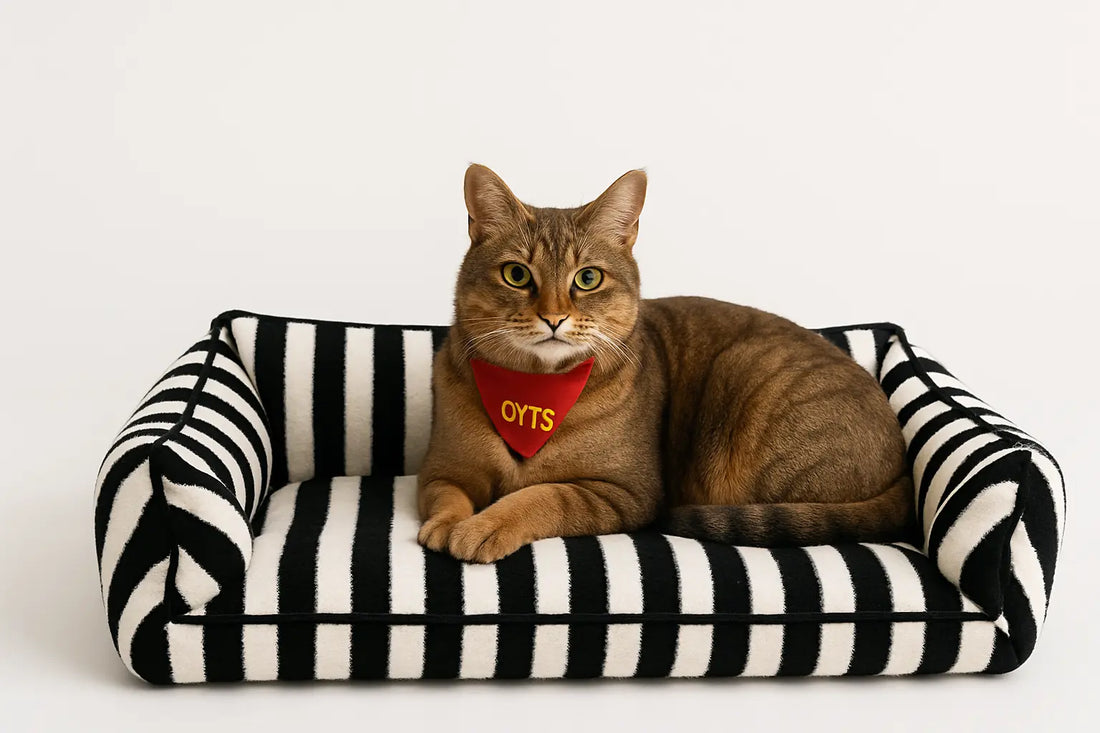 Orthopedic Luxury Pet Dog Cat Bed Sofa – Plush Pet Sofa - Vault No9